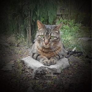 Meet your Posher, Paulina